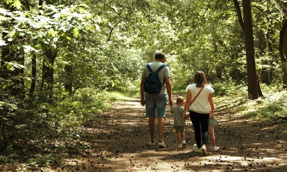 Wandelen in Kattevennen
