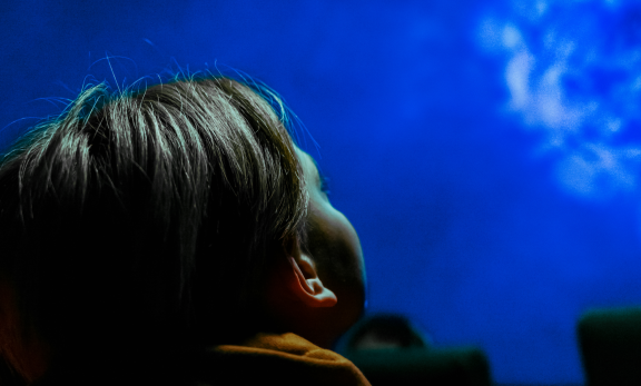 360° shows