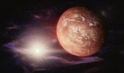 mars website.jpg