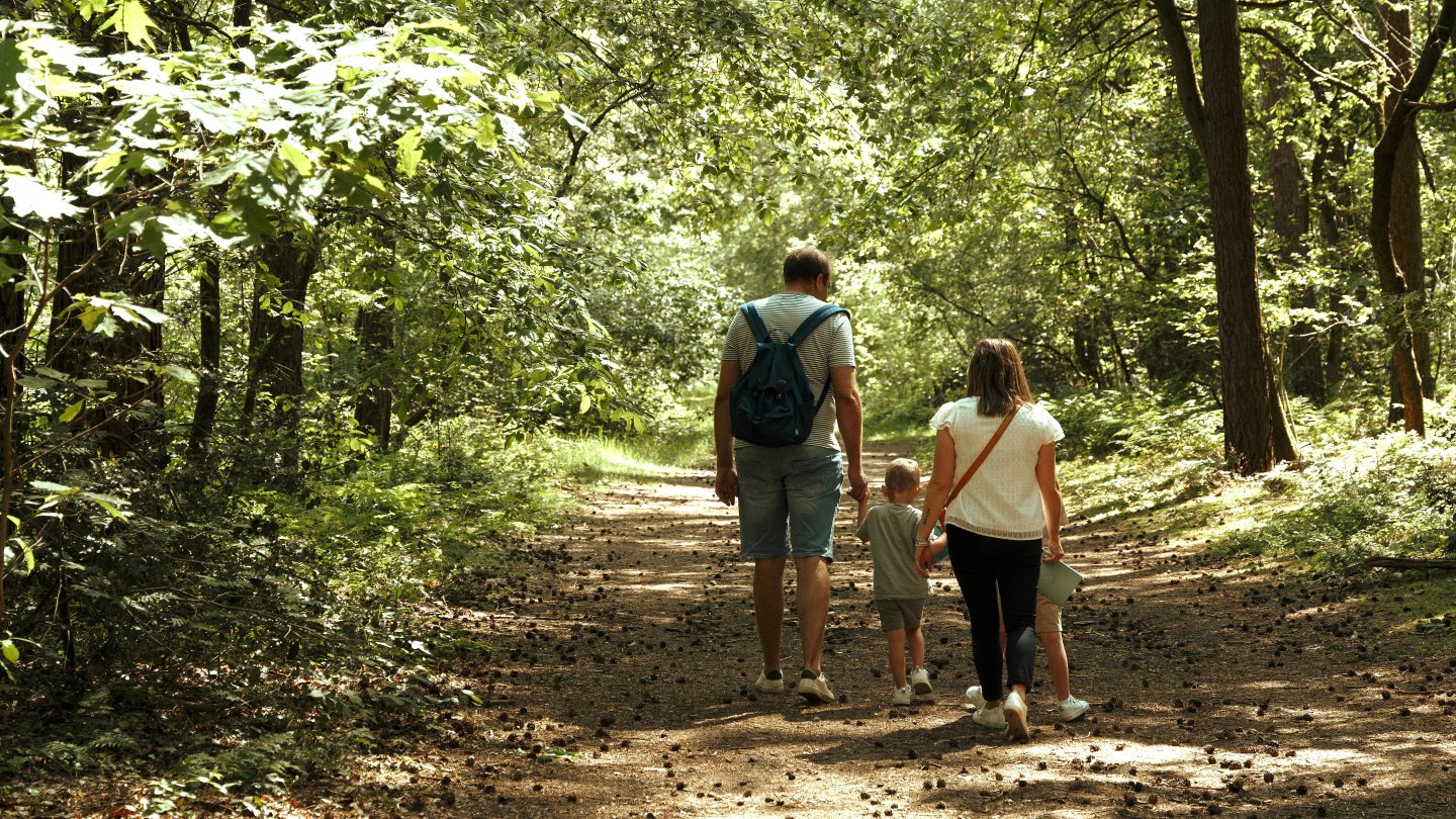 wandelen in Kattevennen